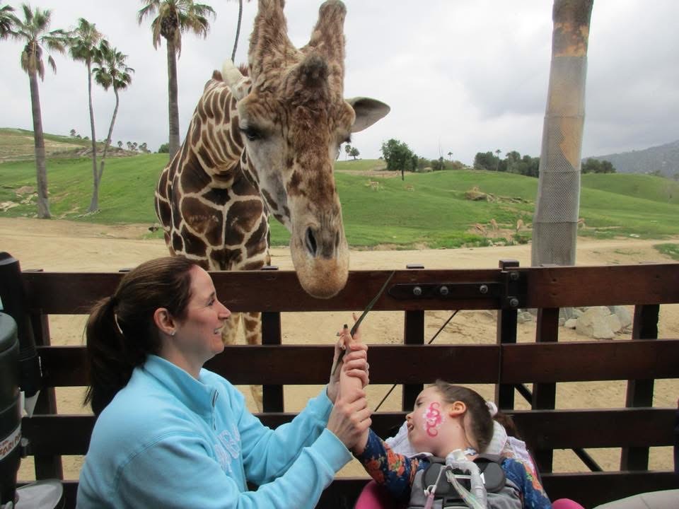 Kennedy and Jennifer feeding a giraffe at the zoo.