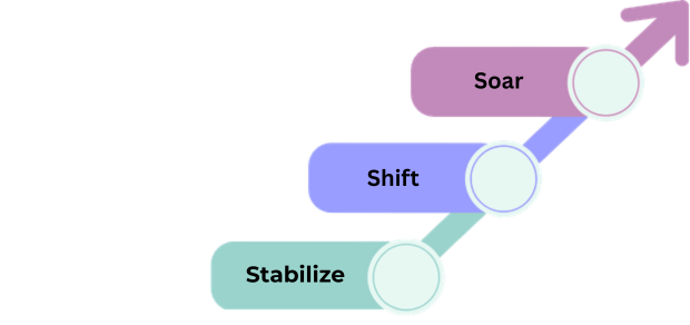 Stabilize, Shift, and Soar shown as an upward progression, representing a journey from support to mindset change to growth.